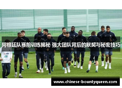 阿根廷队赛前训练揭秘 强大团队背后的默契与秘密技巧