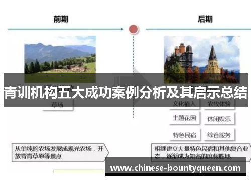 青训机构五大成功案例分析及其启示总结