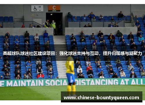英超球队球迷社区建设项目：强化球迷支持与互动，提升归属感与凝聚力