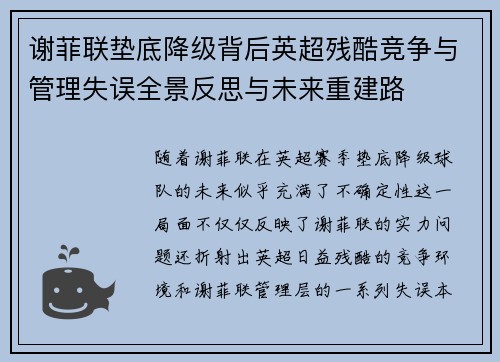 谢菲联垫底降级背后英超残酷竞争与管理失误全景反思与未来重建路